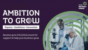 Business Growth Consultant